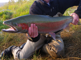 Native Trout Fly Fishing