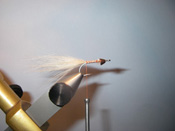 Native Trout Fly Fishing