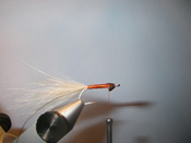 Native Trout Fly Fishing