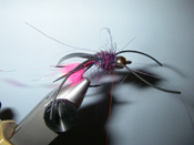 Native Trout Fly Fishing