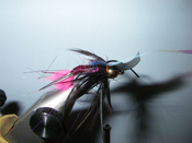 Native Trout Fly Fishing