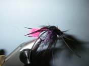 Native Trout Fly Fishing
