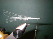 Native Trout Fly Fishing