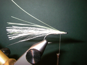 Native Trout Fly Fishing