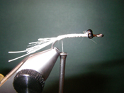 Native Trout Fly Fishing