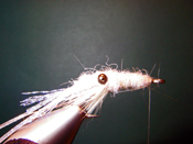 Native Trout Fly Fishing