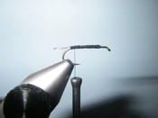 Native Trout Fly Fishing