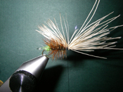 Native Trout Fly Fishing