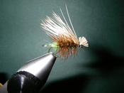 Native Trout Fly Fishing