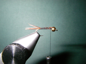 Native Trout Fly Fishing