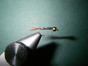 Native Trout Fly Fishing