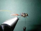 Native Trout Fly Fishing