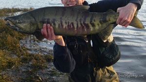 Native Trout Fly Fishing