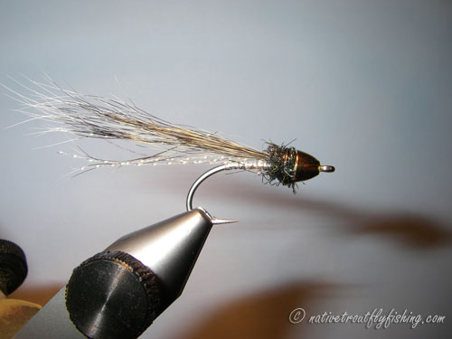 Native Trout Fly Fishing