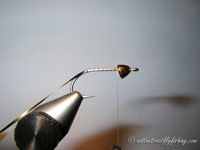 Native Trout Fly Fishing