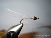 Native Trout Fly Fishing