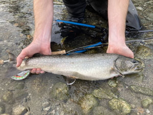 Native Trout Fly Fishing