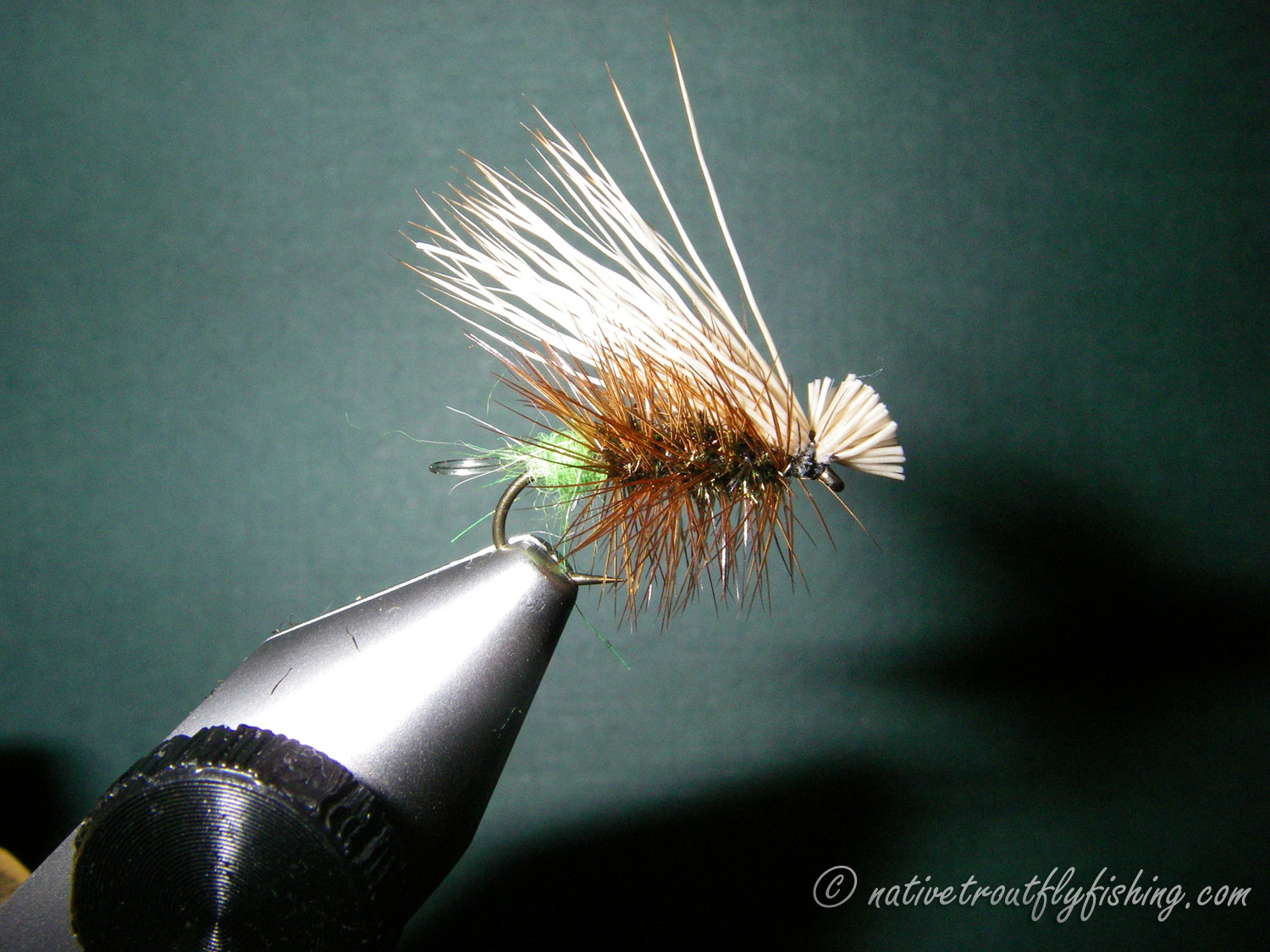 Native Trout Fly Fishing: Hot-Butt Dropper Caddis