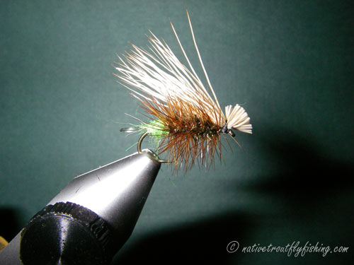 Native Trout Fly Fishing