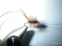 Native Trout Fly Fishing