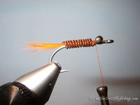 Native Trout Fly Fishing