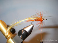 Native Trout Fly Fishing