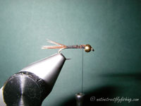 Native Trout Fly Fishing