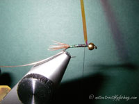 Native Trout Fly Fishing