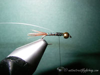 Native Trout Fly Fishing