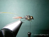 Native Trout Fly Fishing