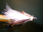 Native Trout Fly Fishing