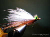 Native Trout Fly Fishing