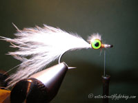 Native Trout Fly Fishing