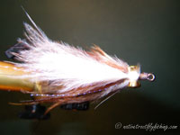 Native Trout Fly Fishing