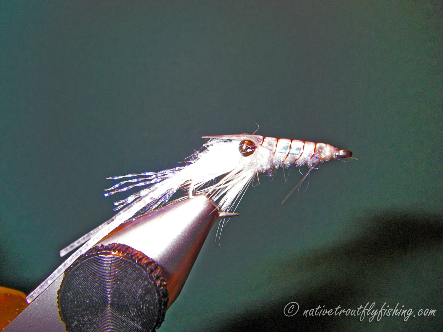 Native Trout Fly Fishing: Sili Shrimp