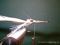 Native Trout Fly Fishing