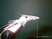 Native Trout Fly Fishing