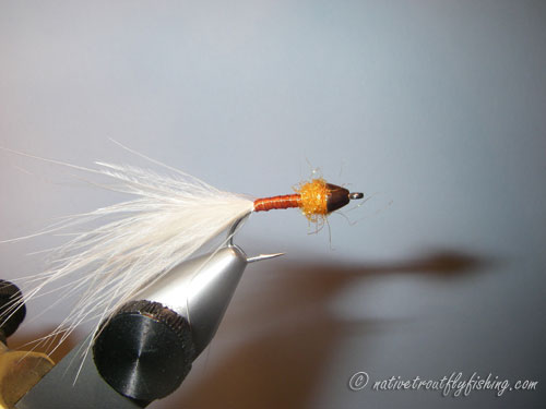 Native Trout Fly Fishing