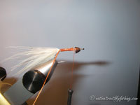 Native Trout Fly Fishing