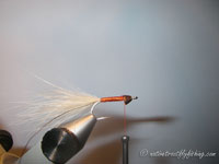 Native Trout Fly Fishing