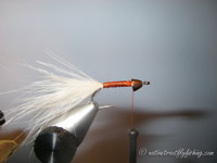 Native Trout Fly Fishing