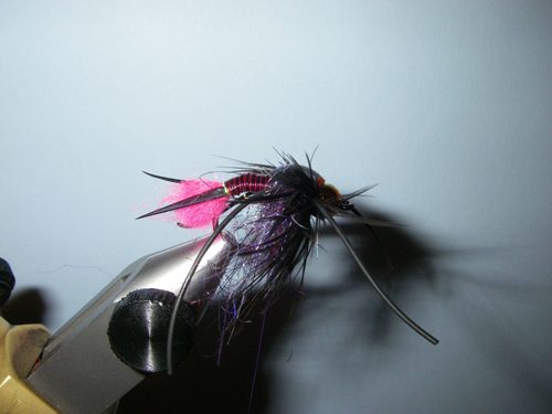 Native Trout Fly Fishing