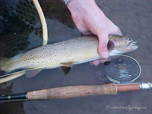 Native Trout Fly Fishing