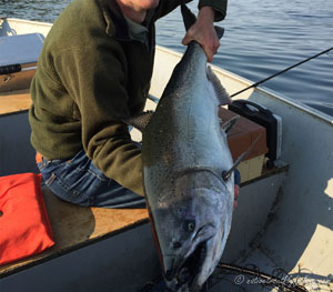 Native Trout Fly Fishing