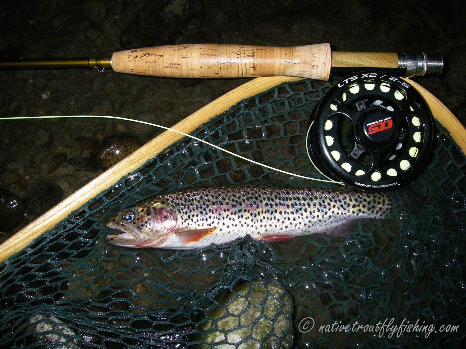 Native Trout Fly Fishing: Coastal Cutthroat Trout