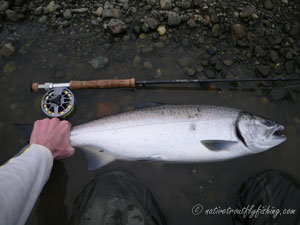 Native Trout Fly Fishing