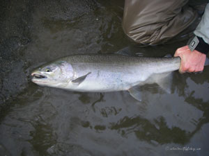 Native Trout Fly Fishing