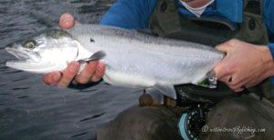 Native Trout Fly Fishing