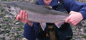 Native Trout Fly Fishing