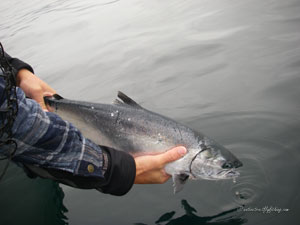 Native Trout Fly Fishing